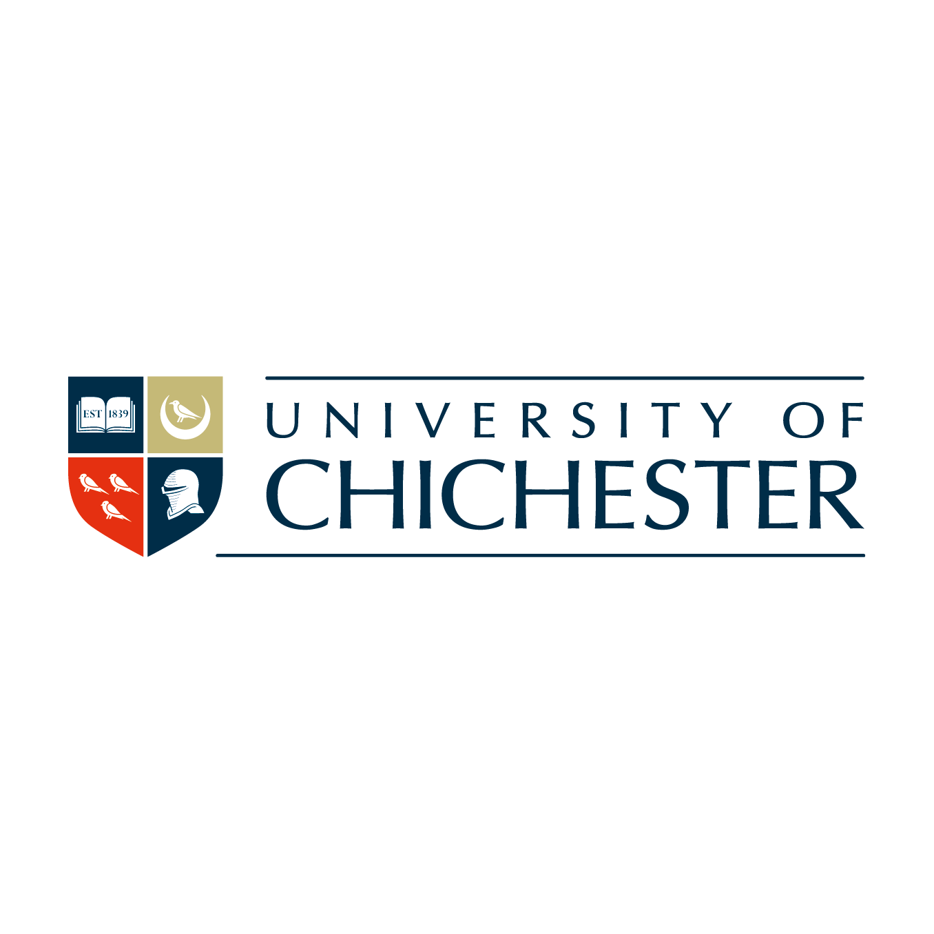 奇切斯特大学